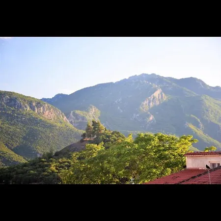 Unique Under The Rocks *