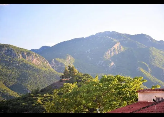 Unique Under The Rocks *